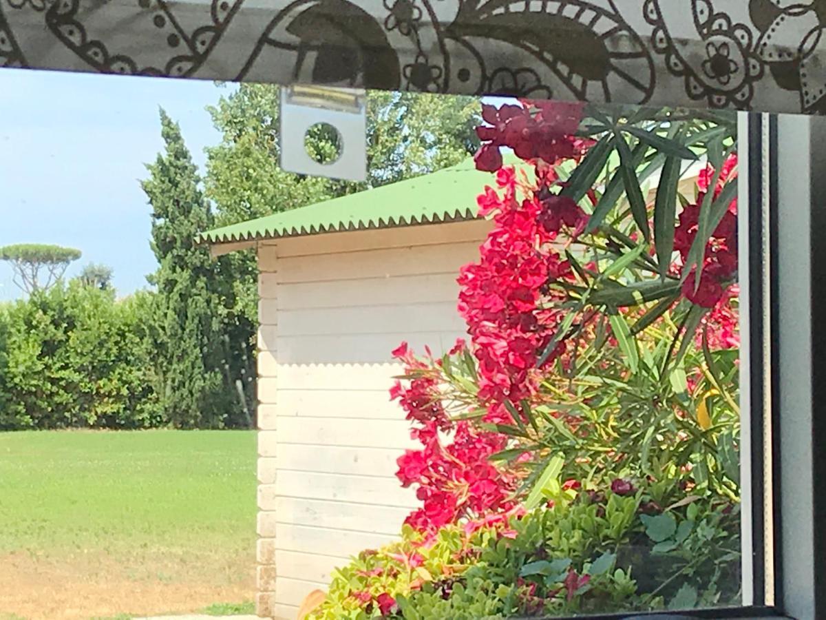 Podere Venanzio Lido di Camaiore Ngoại thất bức ảnh